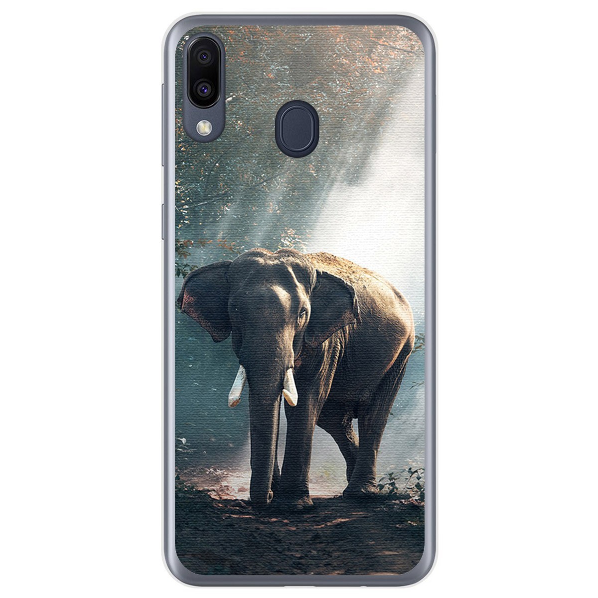 Funda Gel Tpu para Samsung Galaxy M20 diseño Elefante Dibujos