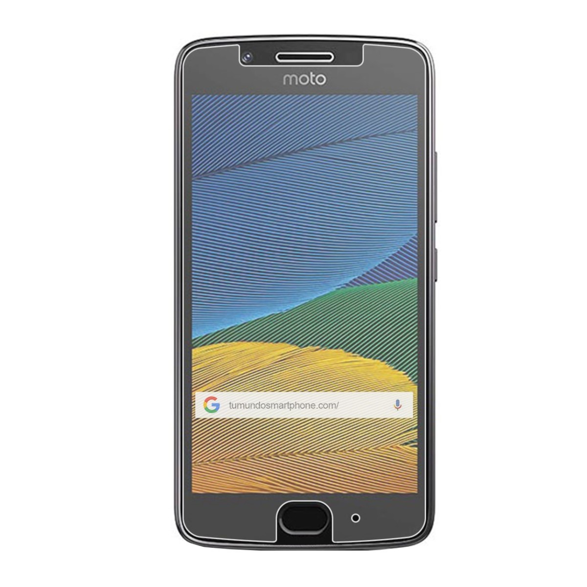 Protector Cristal Templado para Lenovo Moto G5 Vidrio