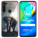 Funda Gel Tpu para Motorola Moto G8 Power diseño Elefante Dibujos