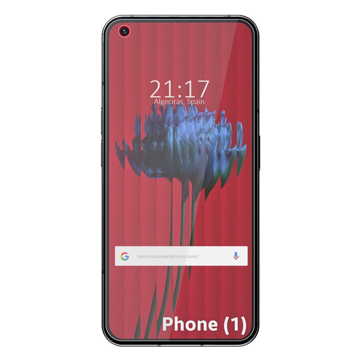 Protector Pantalla Hidrogel Flexible para Nothing Phone 1