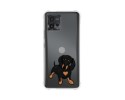 Funda Silicona Antigolpes para Motorola Moto G72 4G diseño Perros 04 Dibujos