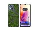 Funda Silicona Transparente para Blackview Oscal C80 diseño Jungla Dibujos