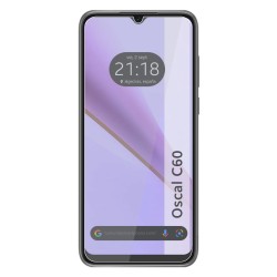 Protector Cristal Templado para Blackview Oscal C60 Vidrio 2