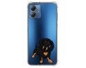 Funda Silicona Antigolpes para Motorola Moto G14 diseño Perros 04 Dibujos