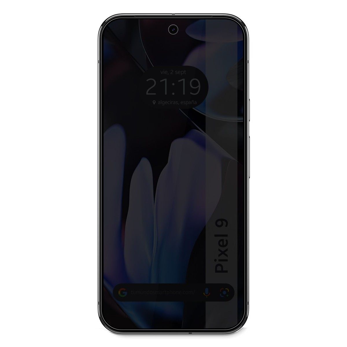 Protector Pantalla Hidrogel Privacidad Antiespías para Google Pixel 9 5G