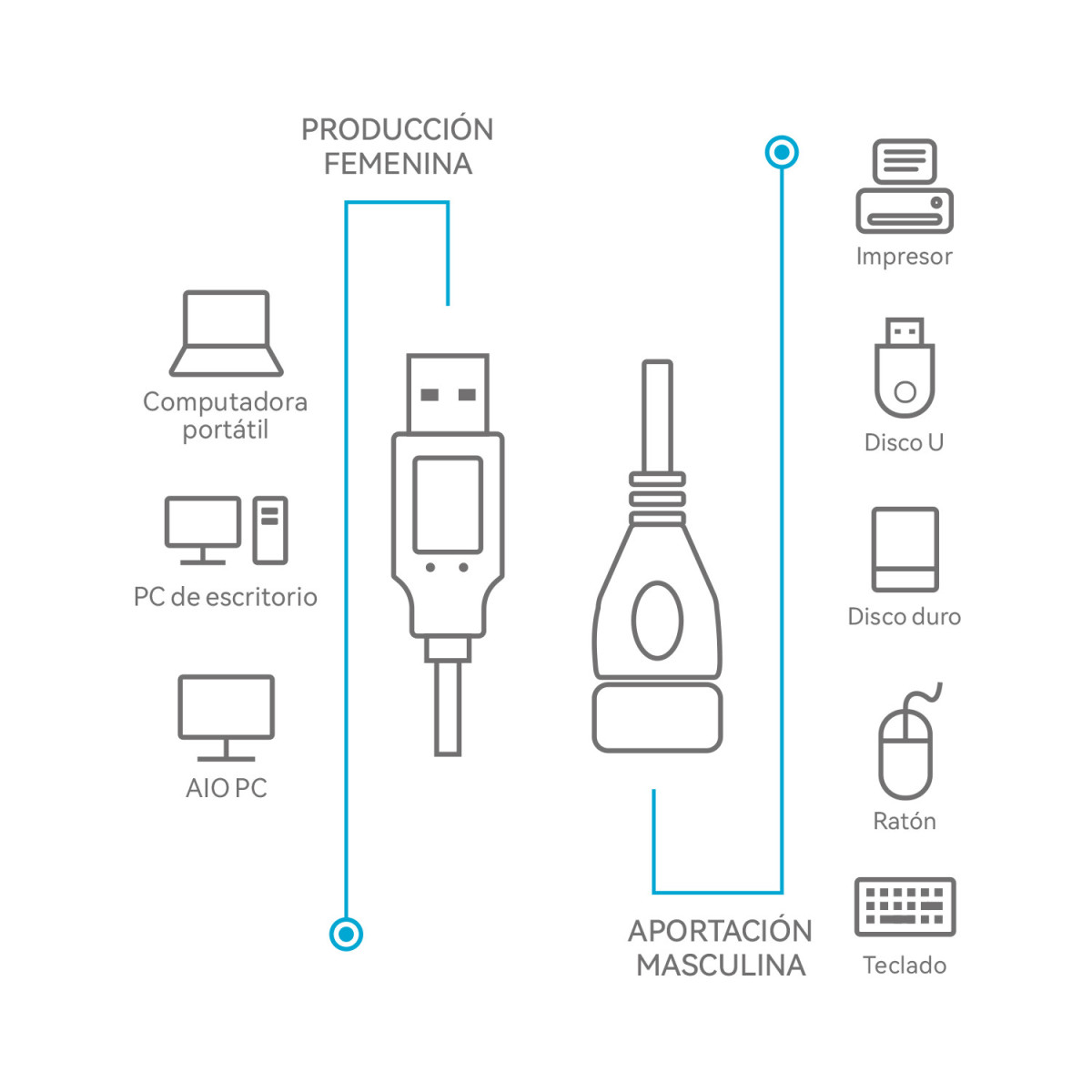 Cable Alargador USB Wephone WG09 – USB 2.0 (A...