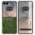 Funda Silicona Transparente para Samsung Galaxy Z Flip 8 5G diseño Jungla Dibujos