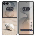Funda Silicona para Samsung Galaxy Z Flip 8 5G diseño Concha Dibujos